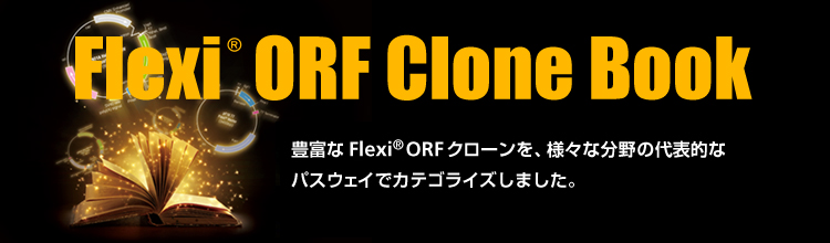 Flexi ORF Clone Book 開設記念キャンペーン