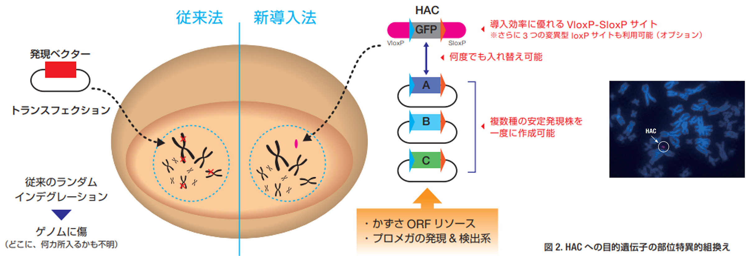 nanobret-nanobit-01